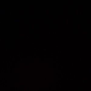 Meet your Posher, Serena